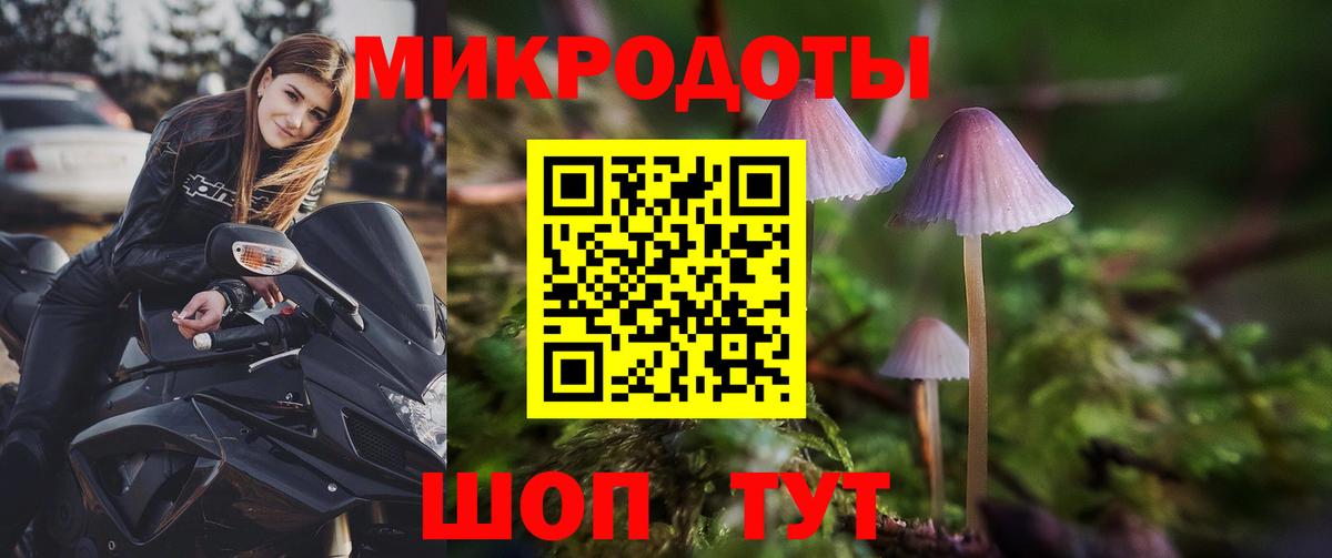 Галлюциногенные грибы Cubensis Лабытнанги